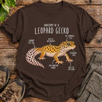 Leopard Gecko Anatomy - Dark Chocolate