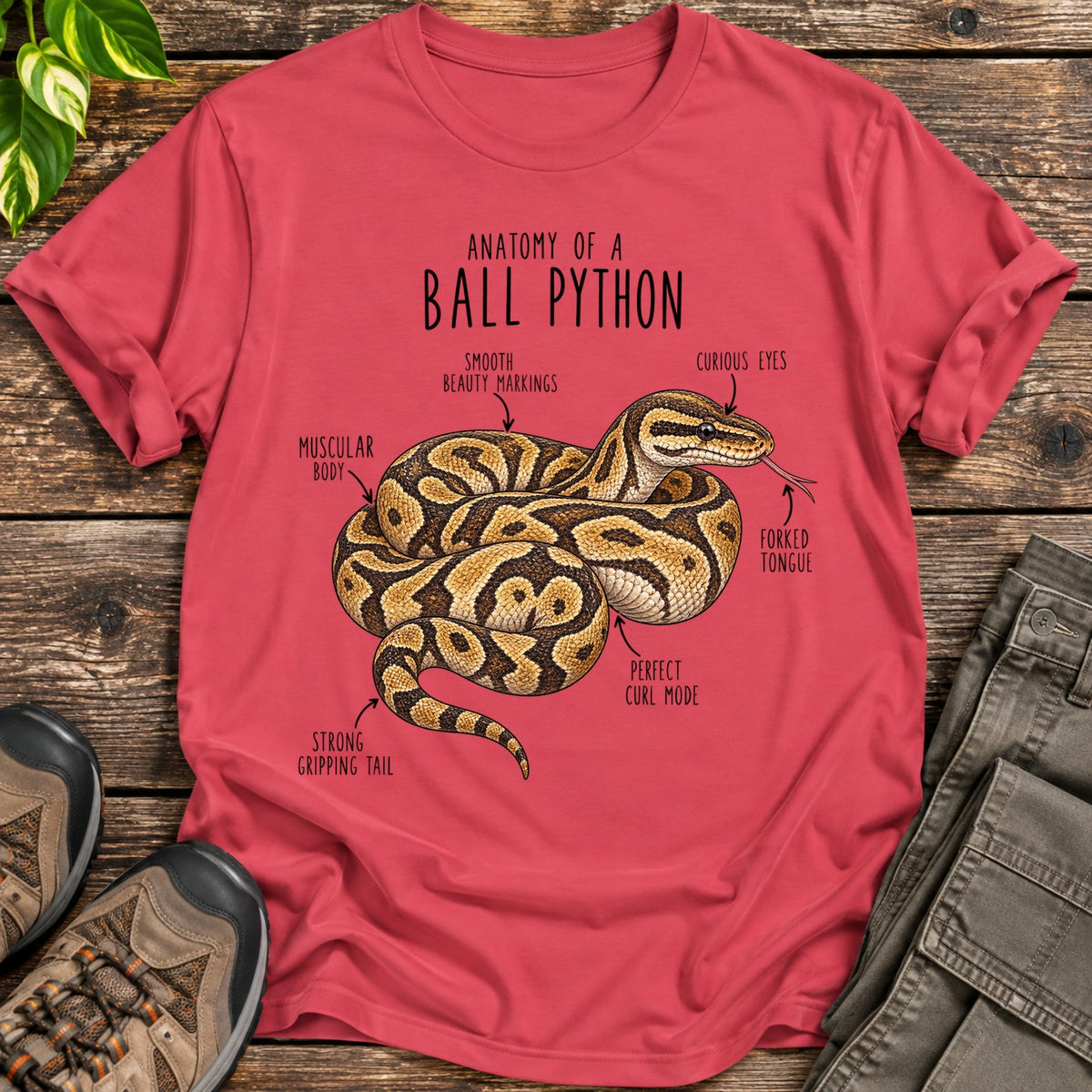 Ball Python Anatomy - Heather Red