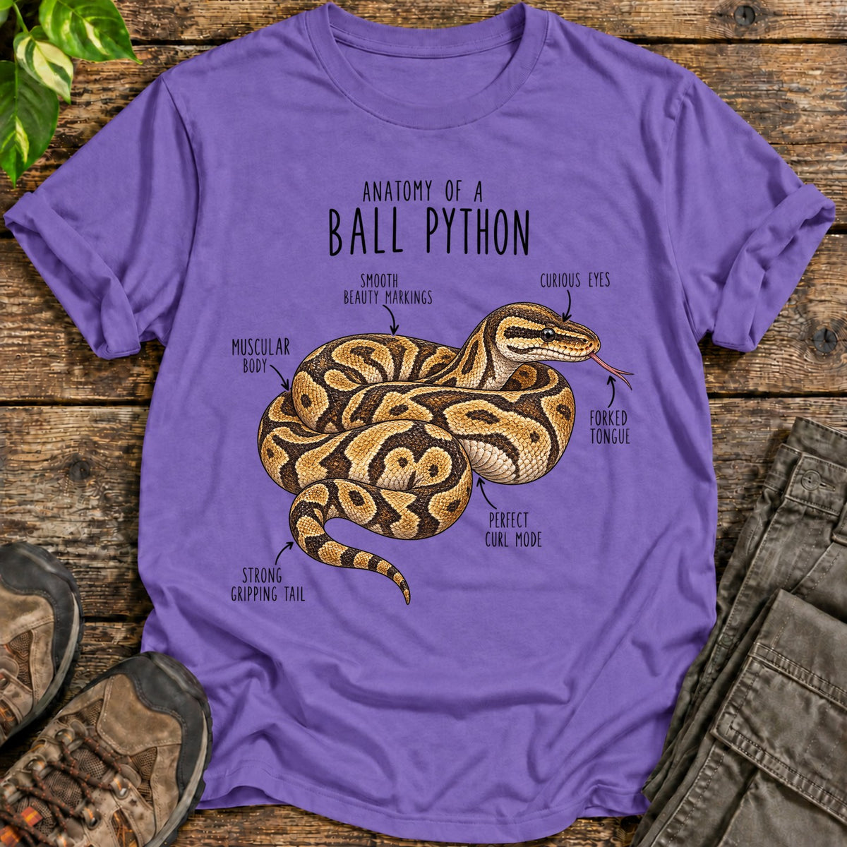 Ball Python Anatomy - Heather Purple