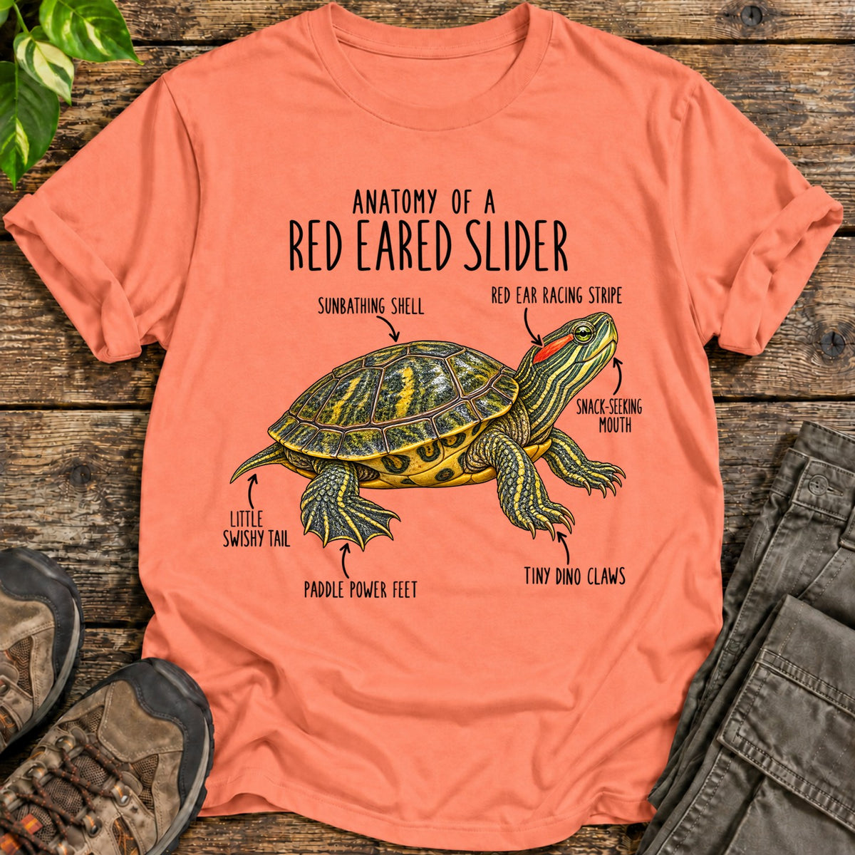 Red Eared Slider Anatomy - Heather Orange