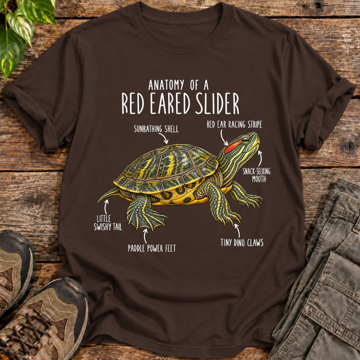 Red Eared Slider Anatomy - Dark Chocolate