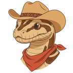 Cowboy Boa Constrictor Shirt design