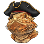 Pirate Bearded Dragon Shirt design